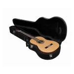 Gitar Hardcase Profesyonel Çanta