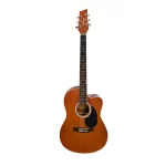 Masterwork Akustik Gitar