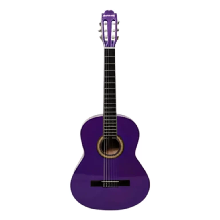 Masterwork Klasik Gitar Mor