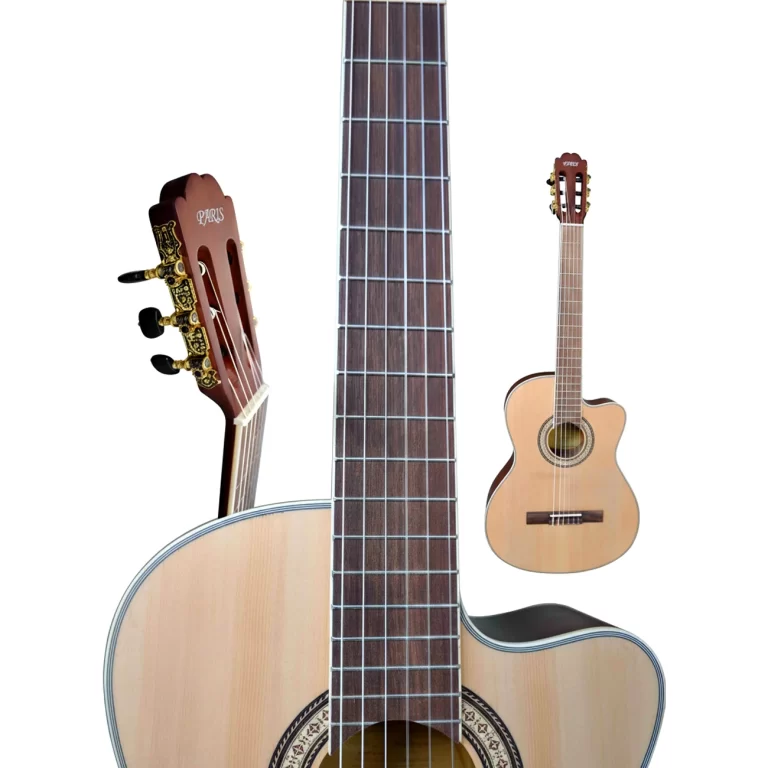 Paris Profesyonel Klasik Gitar