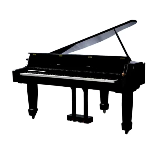 Winchester Digital Piano Classic